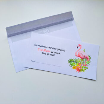 Plic pentru bani ( model 16 )