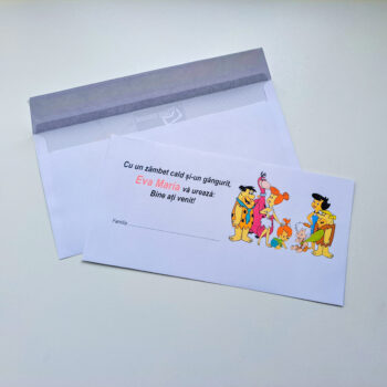 Plic pentru bani ( model 17 )