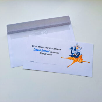 Plic pentru bani ( model 19 )