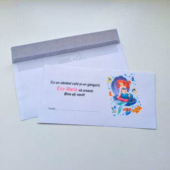 Plic pentru bani ( model 20 )