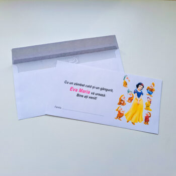 Plic pentru bani ( model 29 )