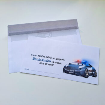 Plic pentru bani ( model 30 )