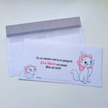 Plic pentru bani ( model 31 )