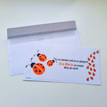 Plic pentru bani ( model 32 )